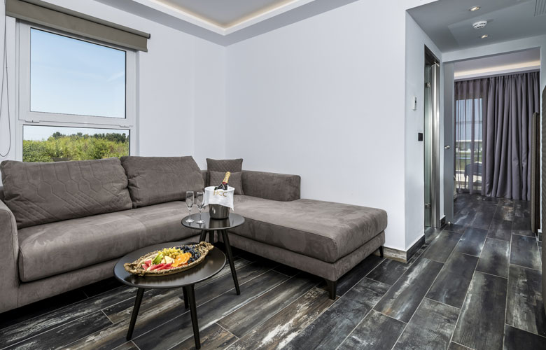 One-Bedroom Family Room